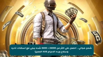شحن مجاني.. احصل على أكثر من 24000 + 8400 شدة ببجي مع أسكنات نادرة وسلاح وردة الإجرام AUG المميز!